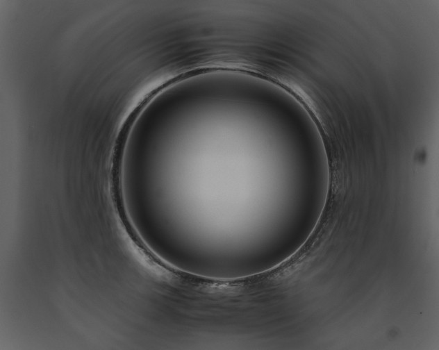 X0000091711139200708241240