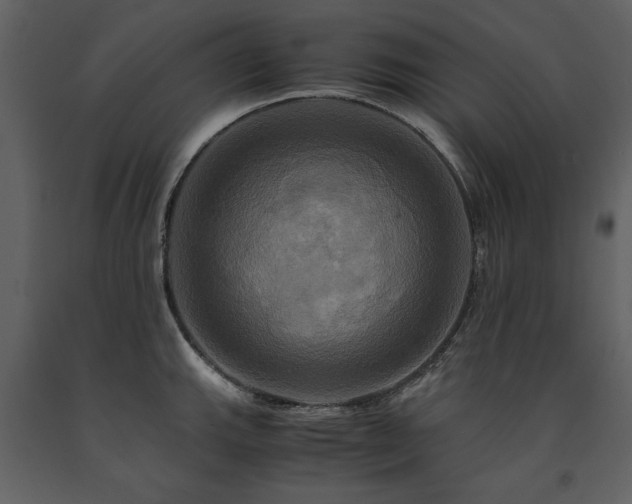 X0000091711143200708241240