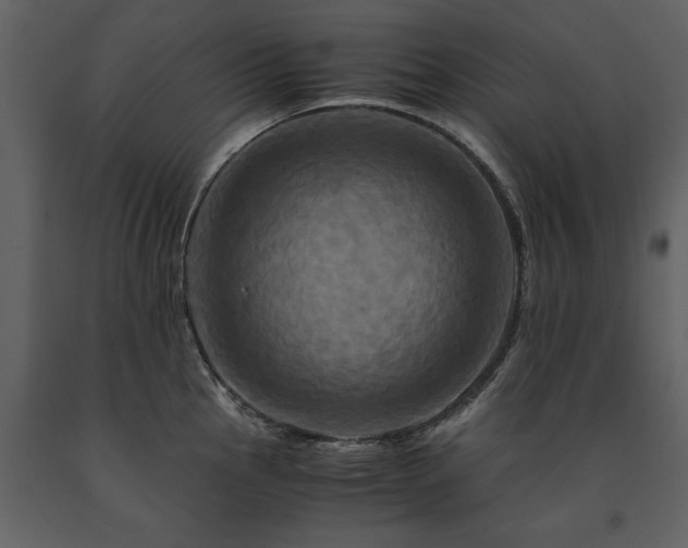 X0000091711145200708241240
