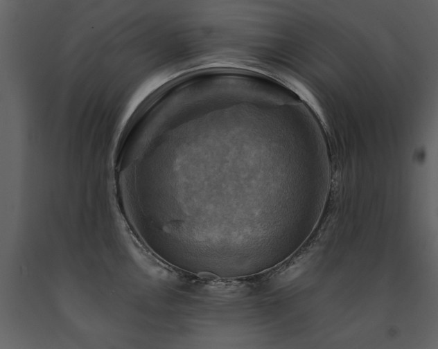 X0000091711146200708241240