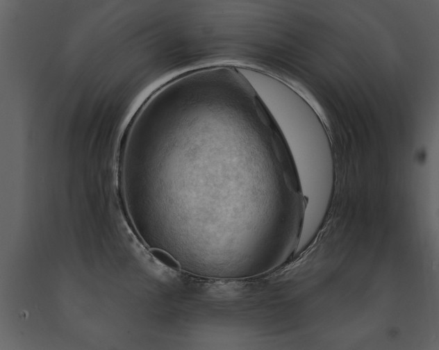 X0000091711148200708241240