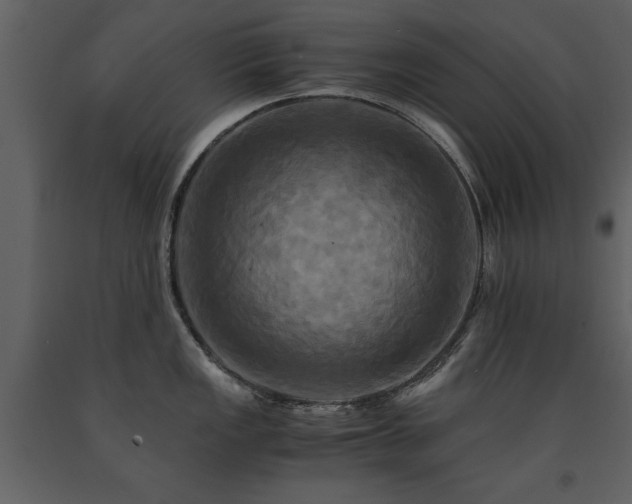 X0000091711149200708241240