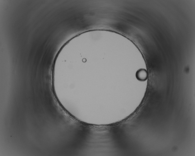 X0000091711150200708241240