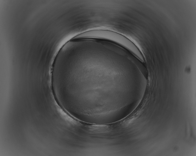 X0000091711151200708241240