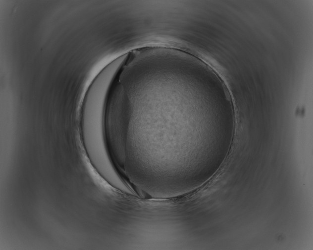 X0000091711152200708241240