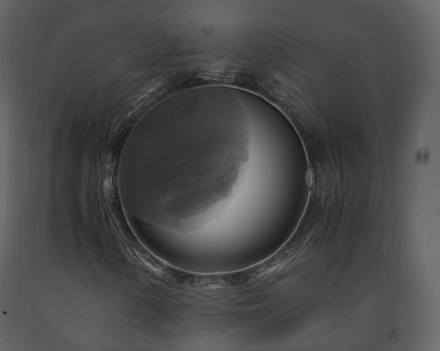 X0000091711154200708241240