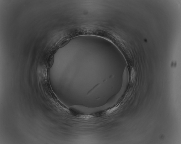 X0000091711155200708241240