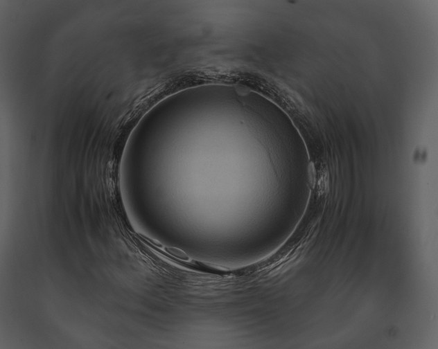 X0000091711156200708241240