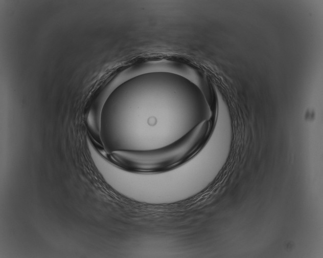 X0000091711157200708241240