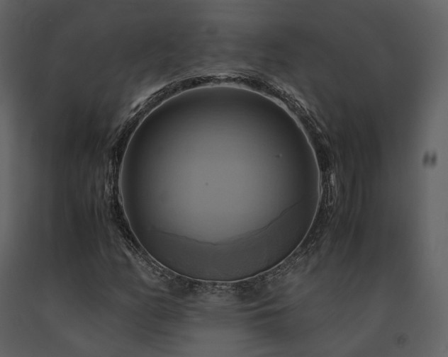 X0000091711158200708241240