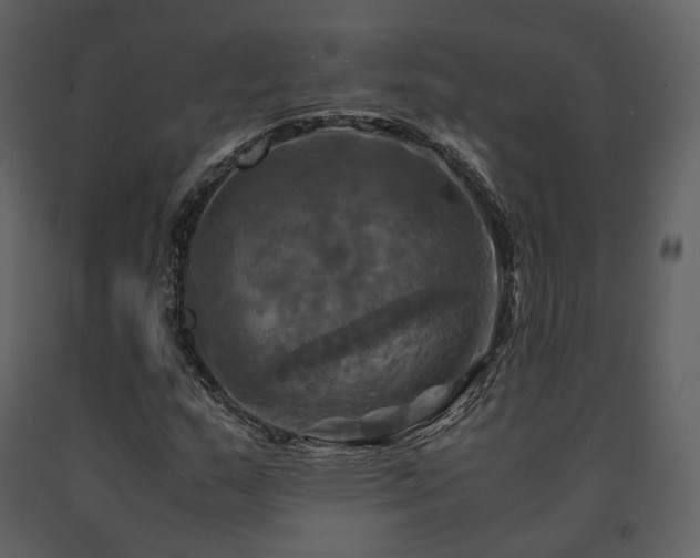 X0000091711159200708241240