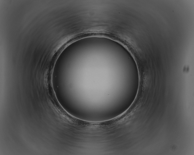 X0000091711162200708241240