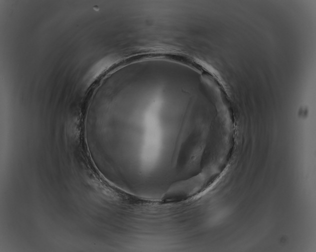 X0000091711163200708241240