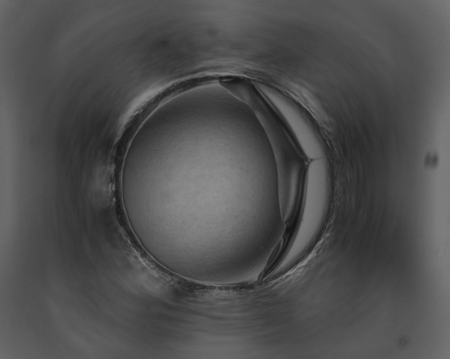 X0000091711164200708241239