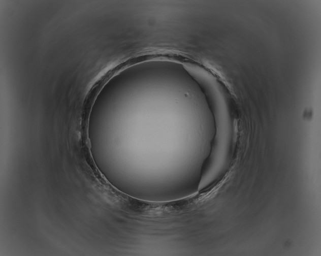 X0000091711165200708241239