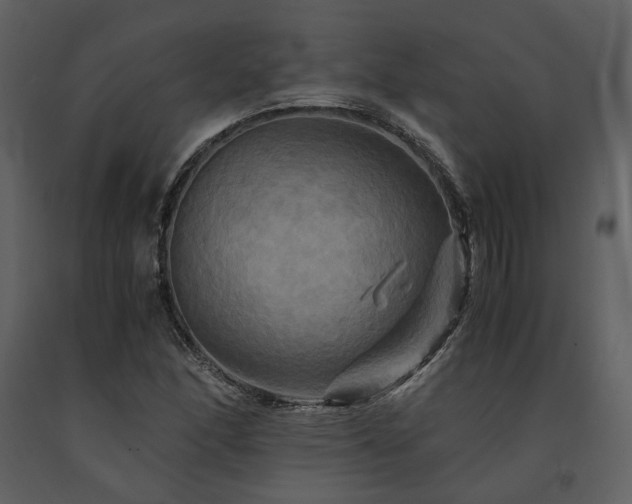 X0000091711166200708241239