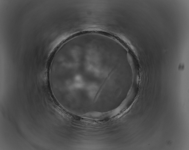 X0000091711167200708241239