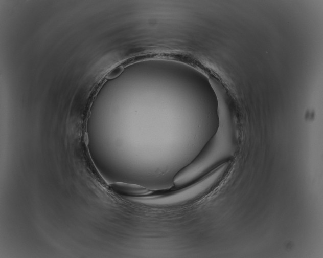 X0000091711169200708241239