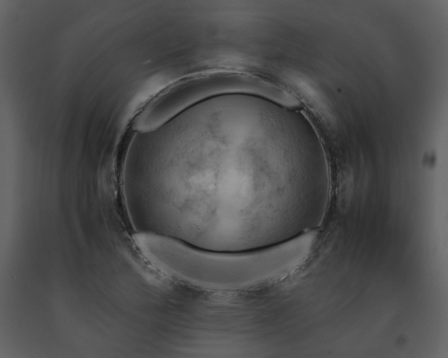 X0000091711172200708241239