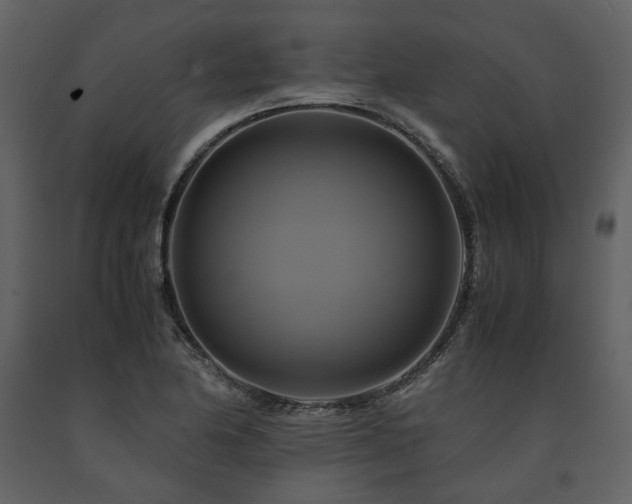 X0000091711174200708241239