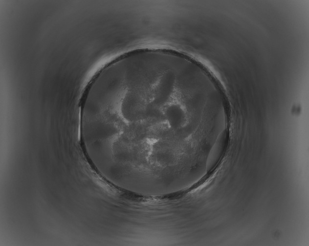 X0000091711175200708241239