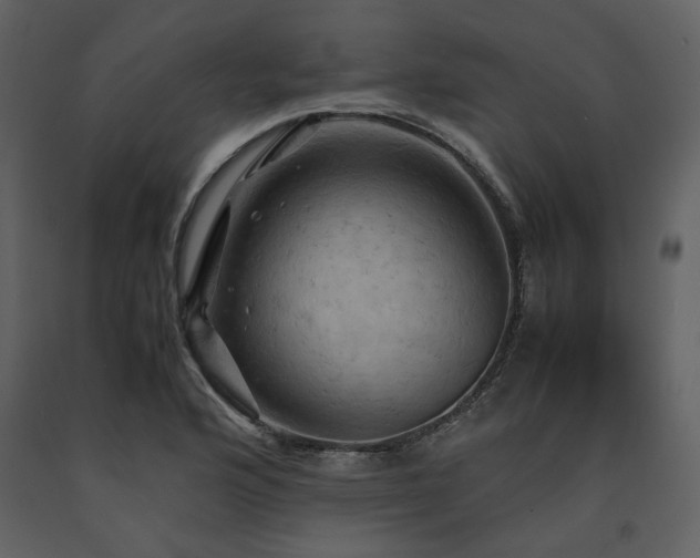 X0000091711176200708241239