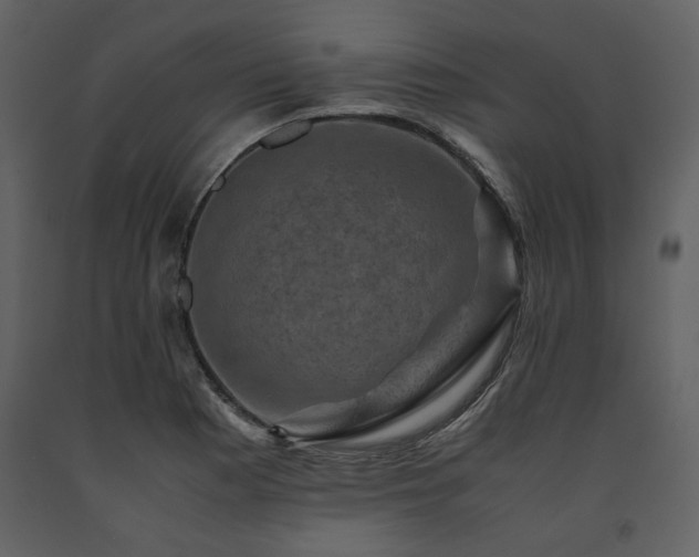 X0000091711177200708241239
