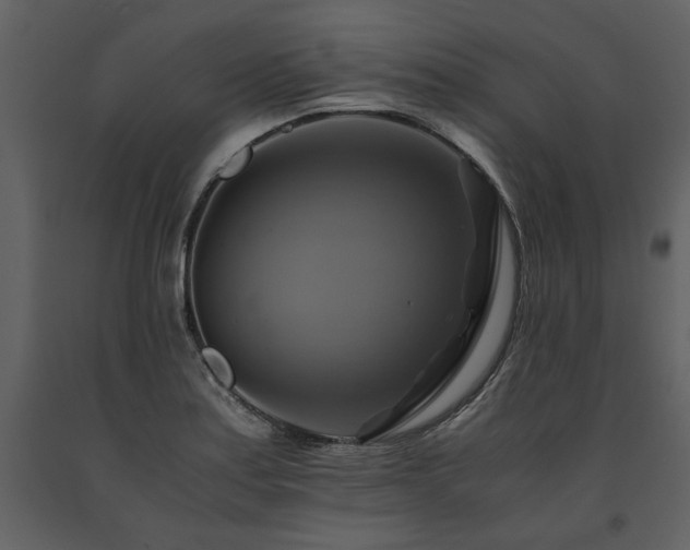 X0000091711179200708241239