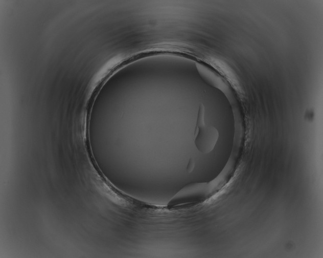 X0000091711180200708241239