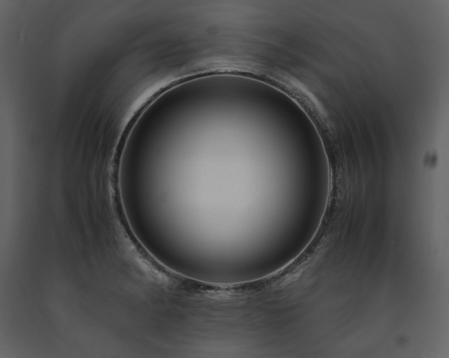 X0000091711182200708241239