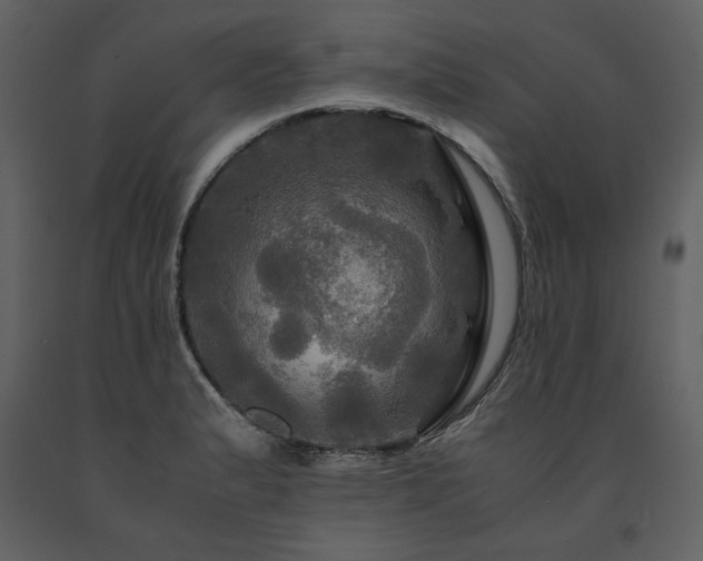 X0000091711183200708241239