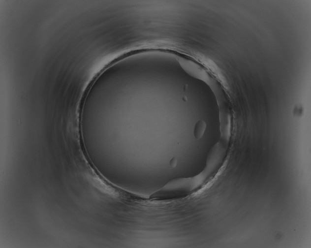 X0000091711184200708241239