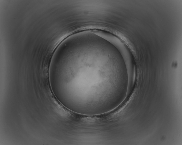 X0000091711185200708241239