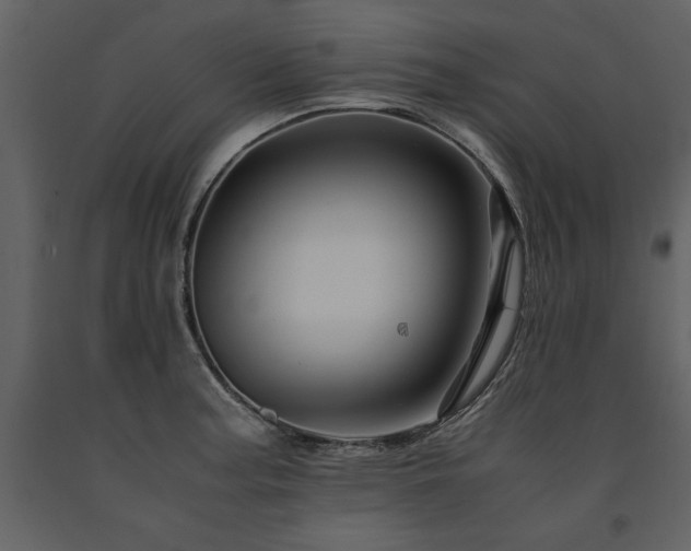 X0000091711187200708241239