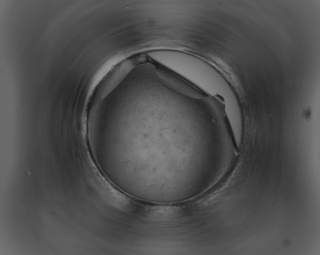 X0000091711188200708241239