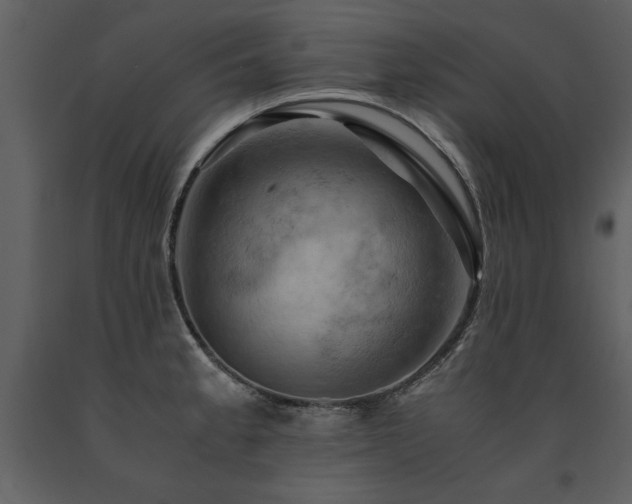 X0000091711189200708241239