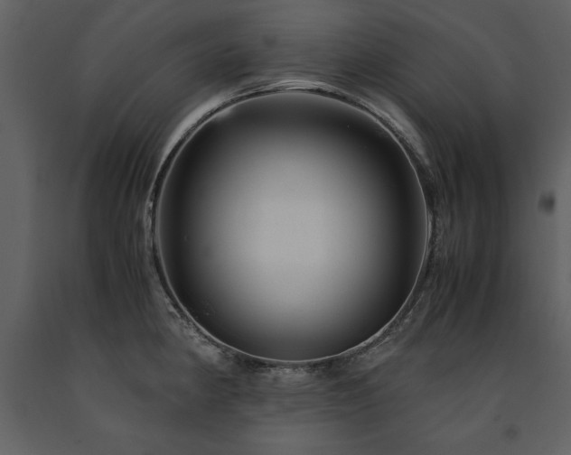 X0000091711190200708241239