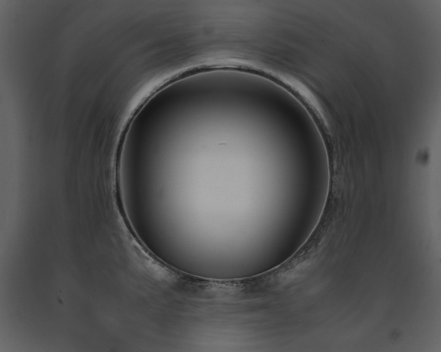X0000091711191200708241239