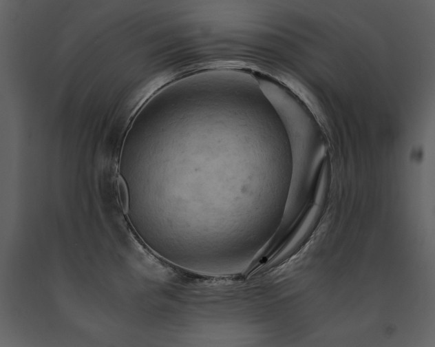 X0000091711193200708241239