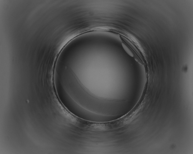 X0000091711194200708241239