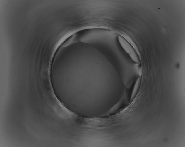 X0000091711197200708241239