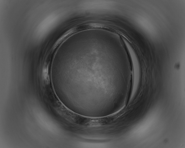 X0000091711198200708241239