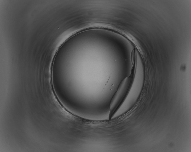 X0000091711199200708241239