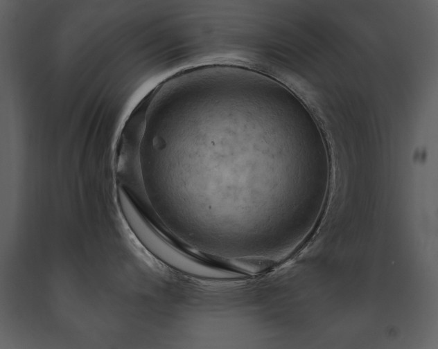 X0000091711200200708241239