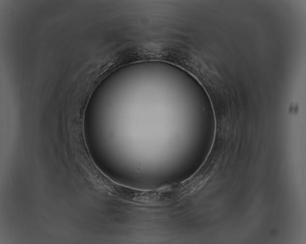 X0000091711201200708241238