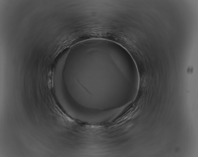 X0000091711202200708241238