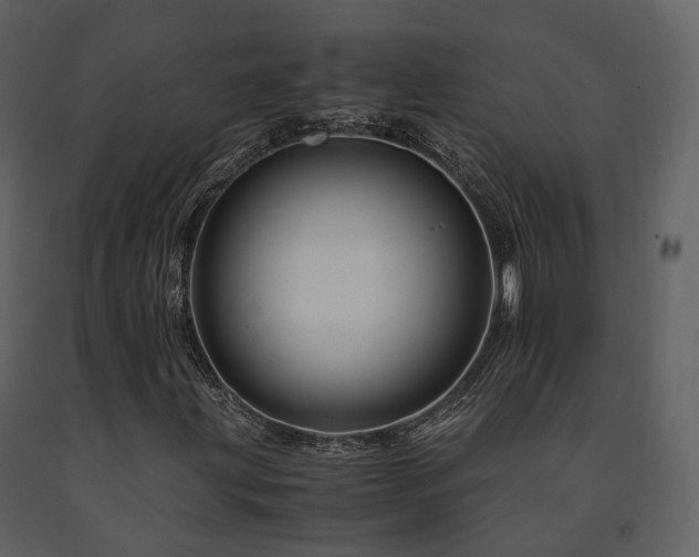 X0000091711203200708241238