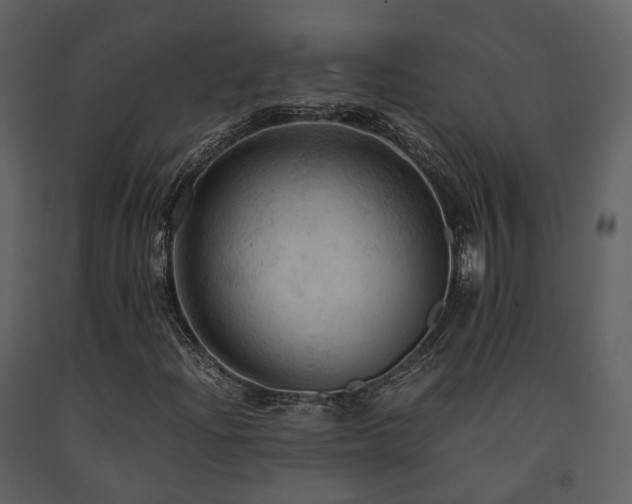 X0000091711204200708241238