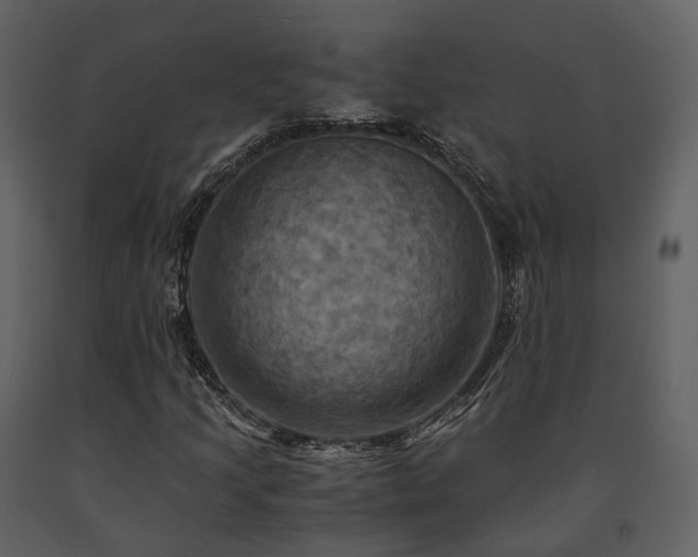 X0000091711205200708241238