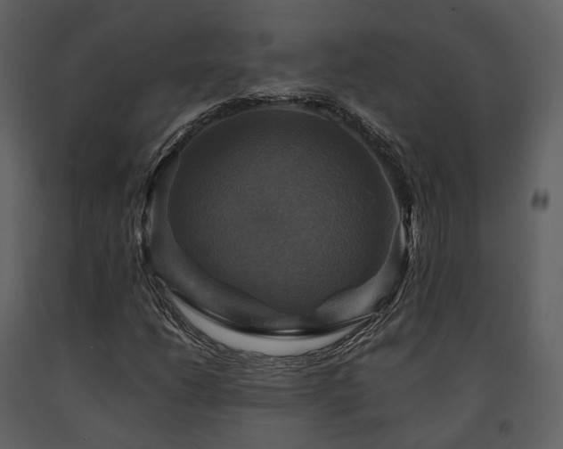 X0000091711206200708241238